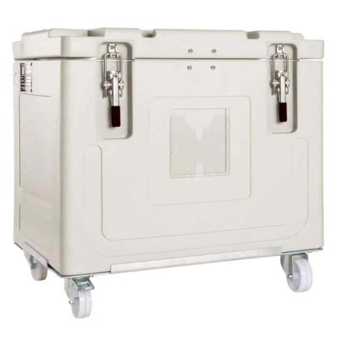 Portacondimenti Refrigerato 4 Scomparti Con Ghiaccio - Ideale Per Salse, Olive E Frutta - Caddy Da Bar Con Coperchio E Vaschette Rimovibili - 3